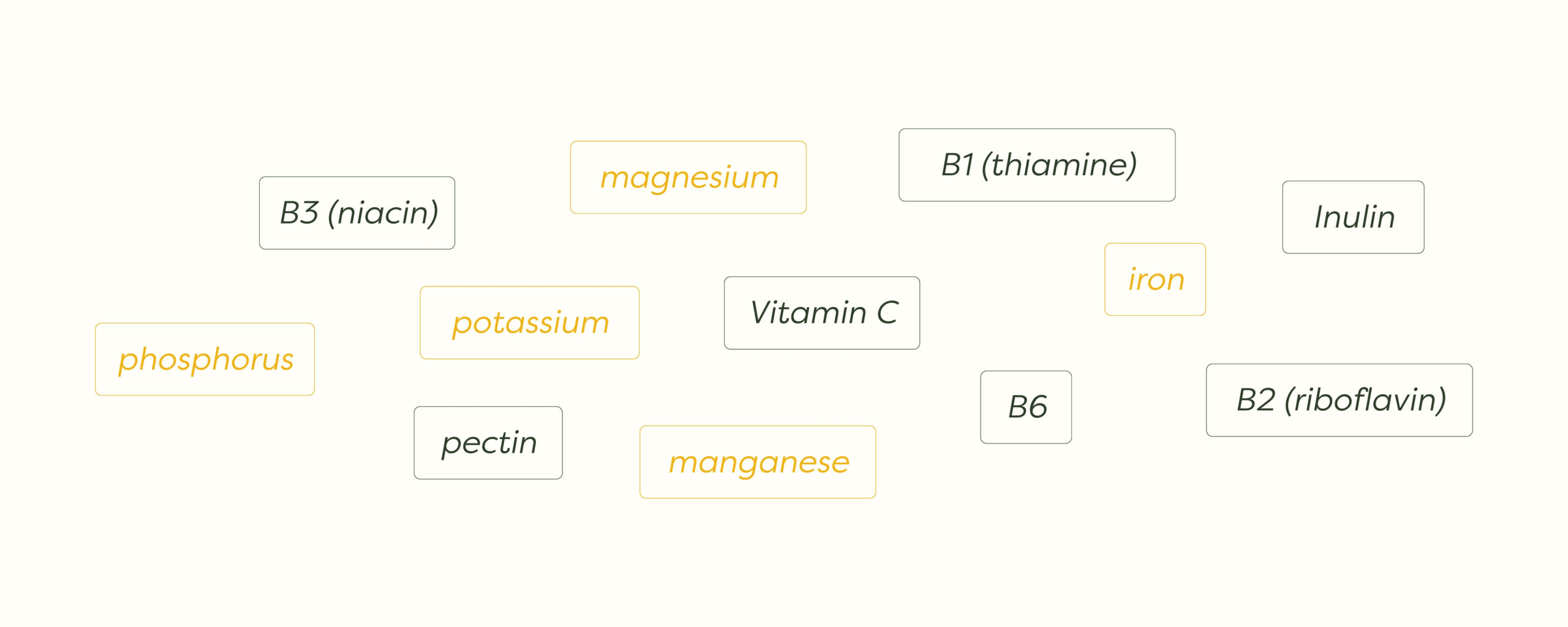 Jerusalem Artichokes vitamins