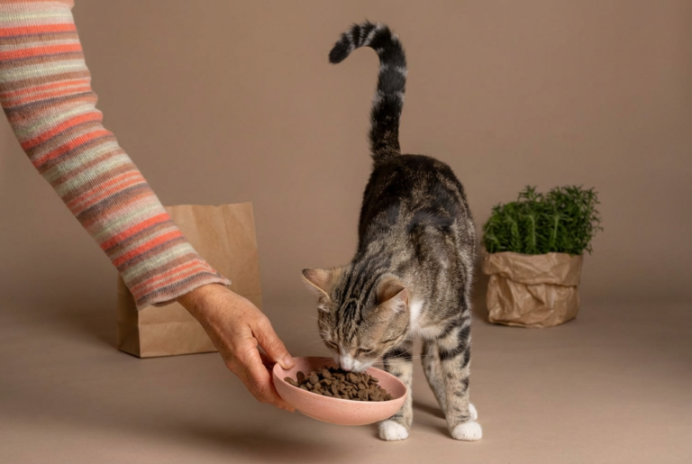 Research Cats