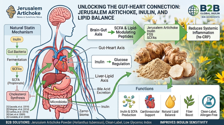 The Missing Link in Heart & Gut Health: Jerusalem Artichoke, Inulin, andthe Lipid Balance